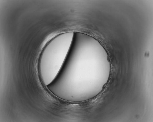 X0000102370054200808011033