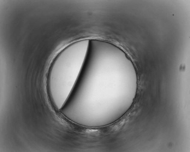 X0000102370055200808011033