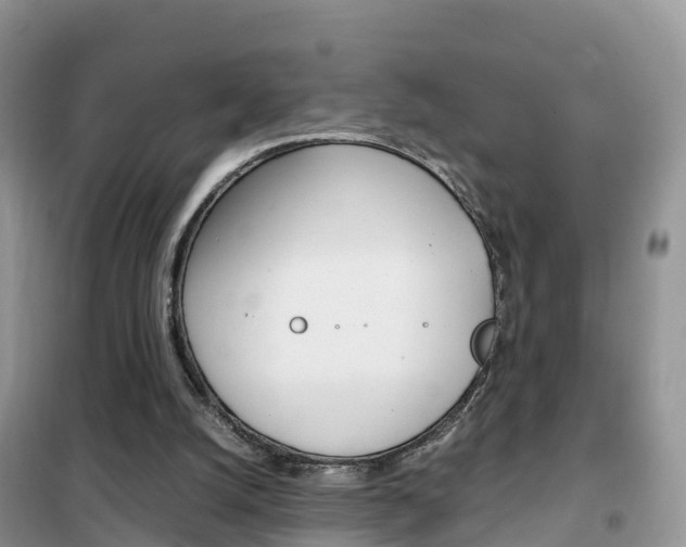 X0000102370056200808011033