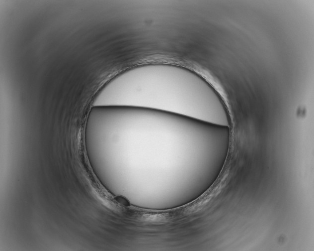 X0000102370057200808011033