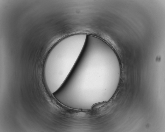 X0000102370058200808011033