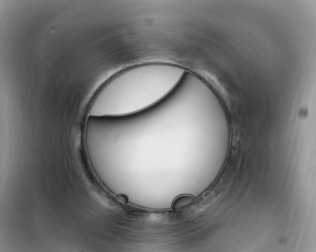 X0000102370060200808011033
