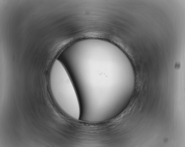 X0000102370062200808011033