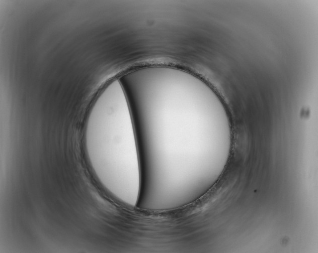 X0000102370063200808011033