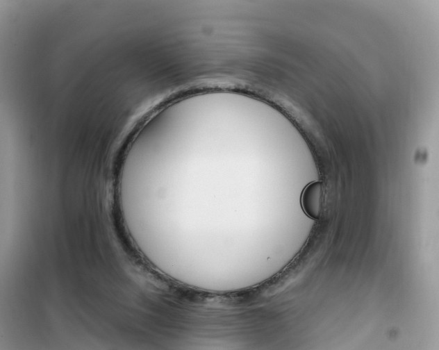 X0000102370064200808011033