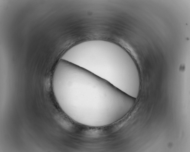 X0000102370065200808011033