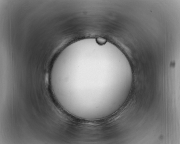 X0000102370067200808011033