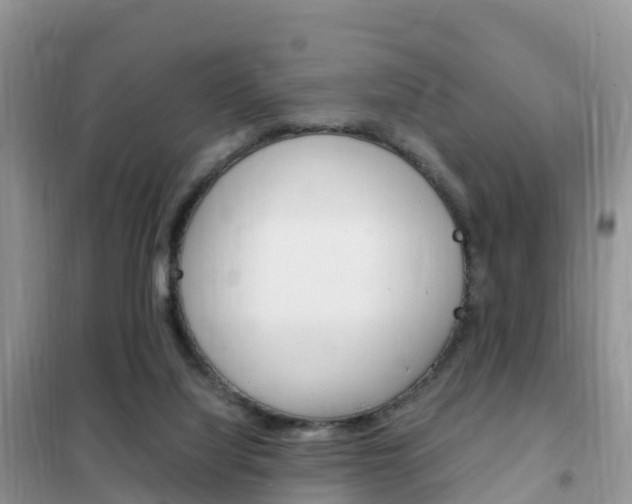 X0000102370068200808011033