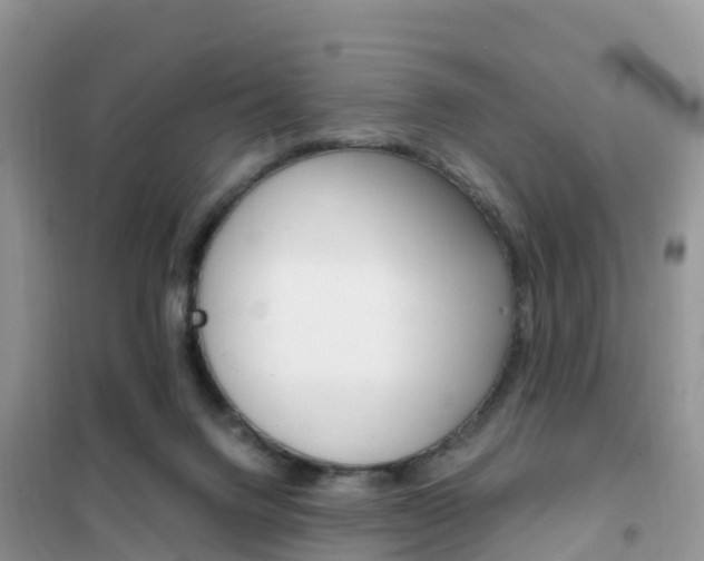 X0000102370072200808011033