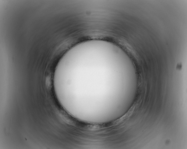 X0000102370074200808011033