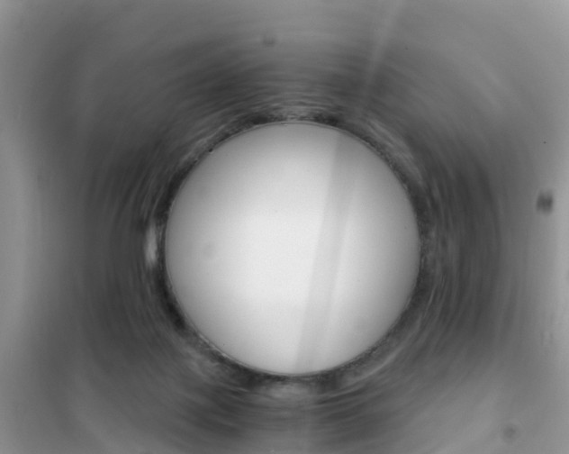 X0000102370075200808011033