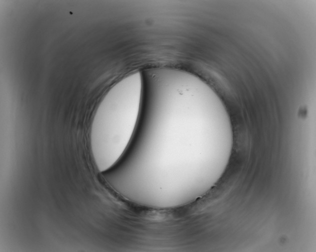 X0000102370077200808011033