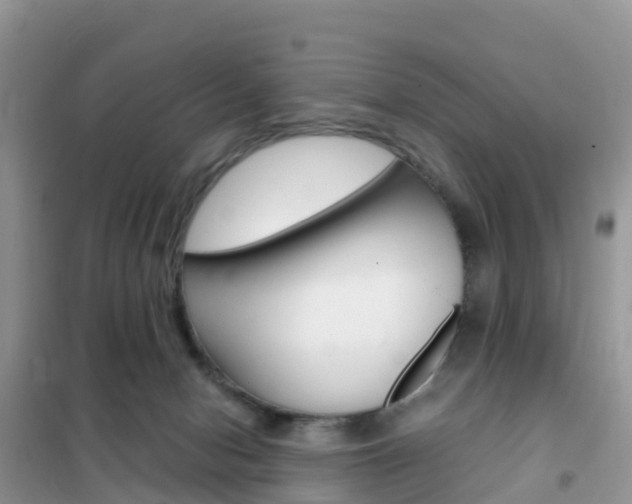 X0000102370078200808011033