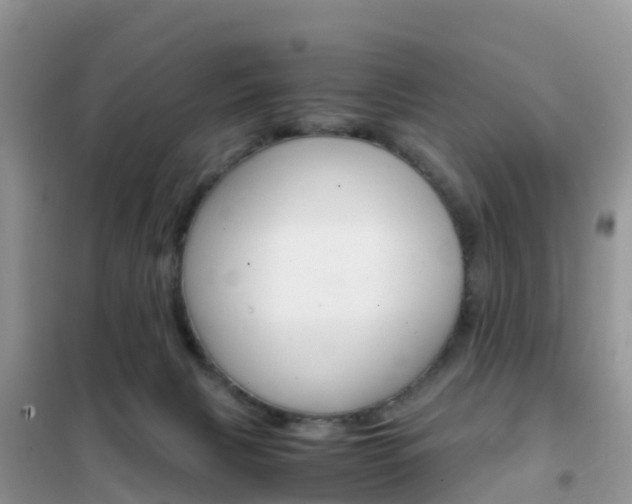 X0000102370079200808011034