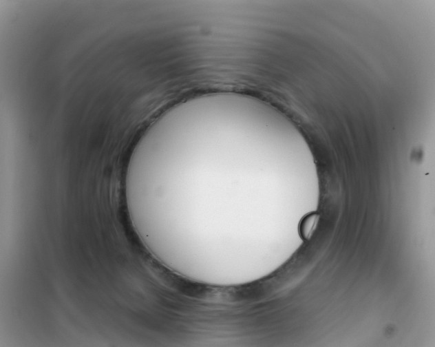 X0000102370080200808011034