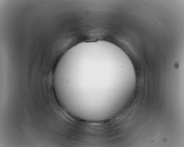 X0000102370081200808011034
