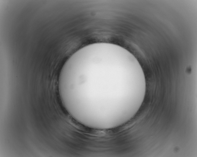 X0000102370083200808011034