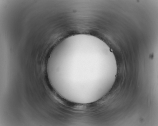 X0000102370084200808011034