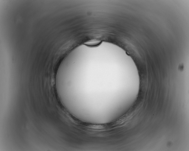 X0000102370085200808011034