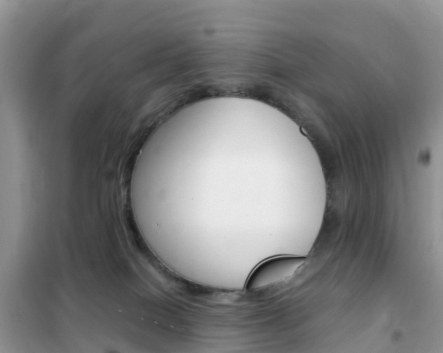 X0000102370086200808011034