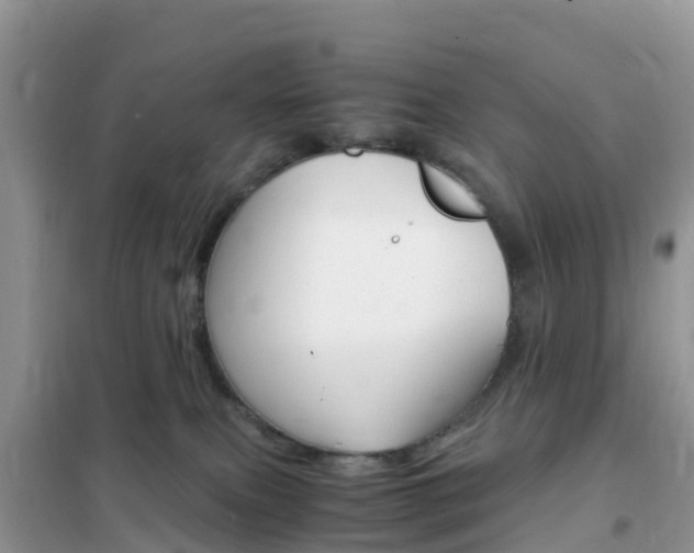 X0000102370087200808011034