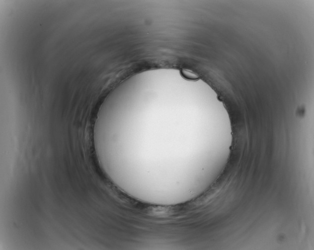 X0000102370088200808011034