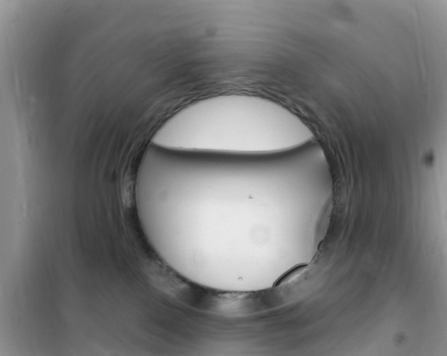 X0000102370090200808011034