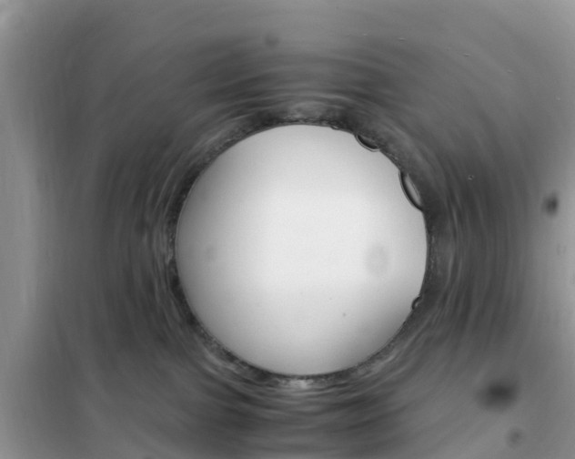 X0000102370091200808011034