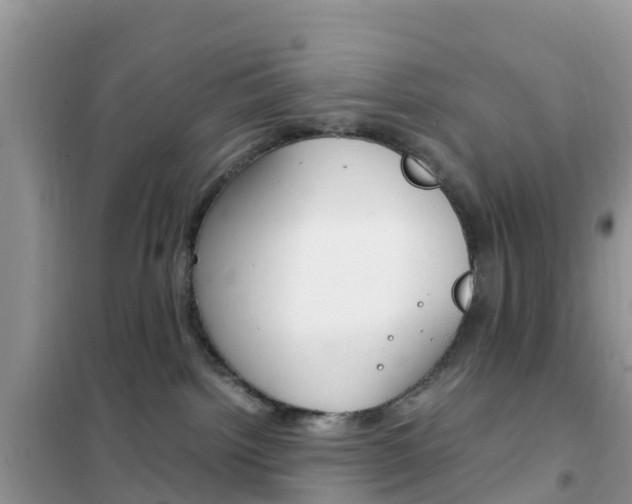 X0000102370092200808011034
