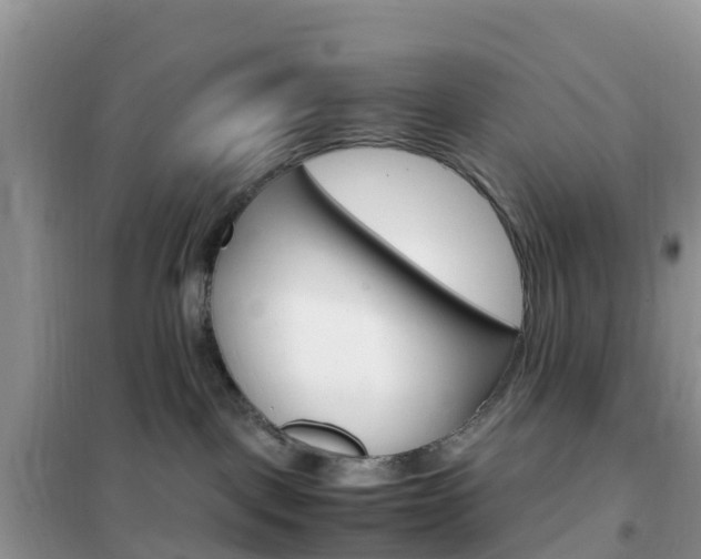 X0000102370093200808011034