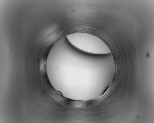 X0000102370094200808011034