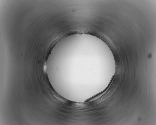 X0000102370095200808011034