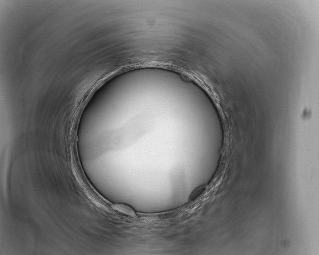 X0000102370097200808011033