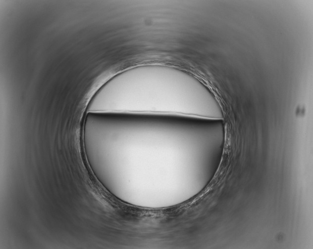 X0000102370099200808011033