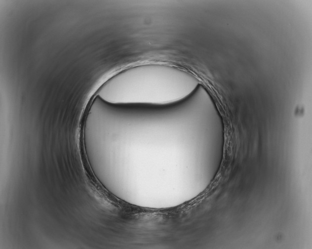 X0000102370100200808011033