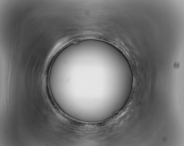 X0000102370101200808011033