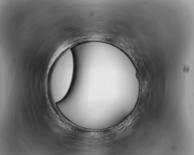 X0000102370102200808011033