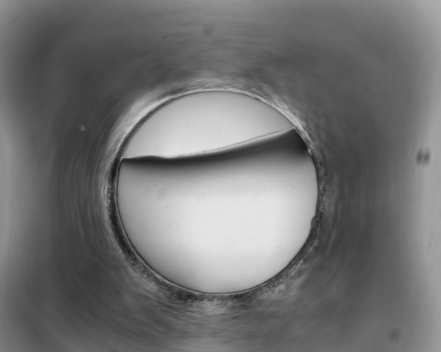 X0000102370103200808011033