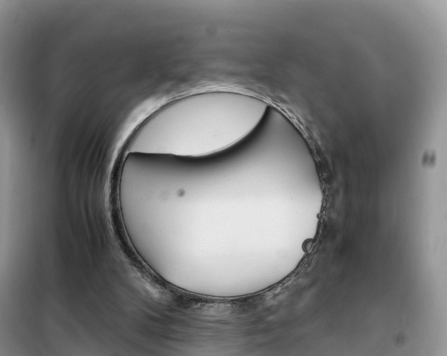 X0000102370104200808011033