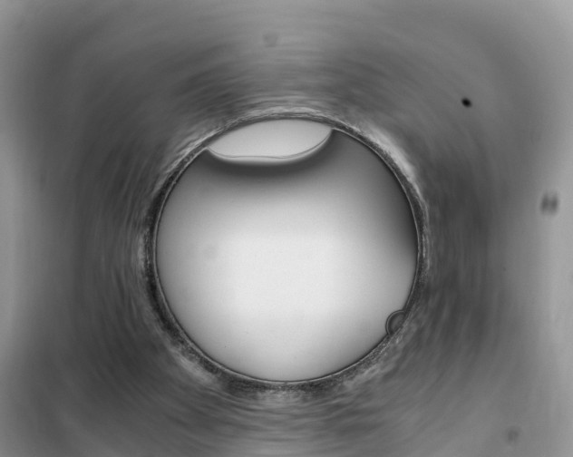 X0000102370105200808011033