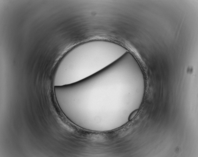 X0000102370106200808011033