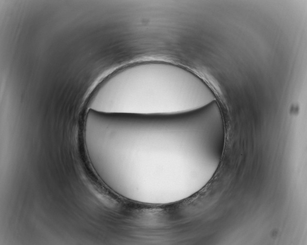 X0000102370108200808011033