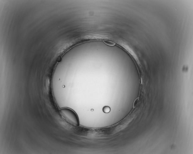 X0000102370109200808011033
