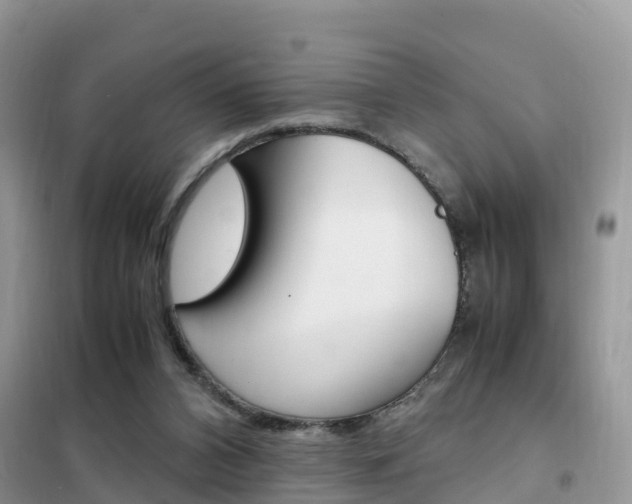X0000102370112200808011033