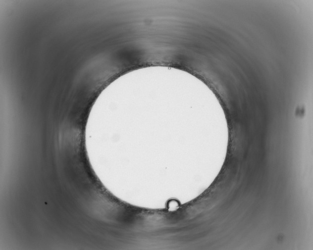 X0000102370113200808011033