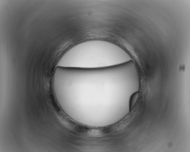 X0000102370114200808011033