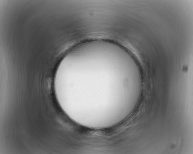 X0000102370115200808011033