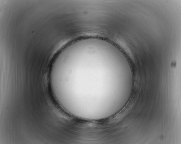 X0000102370116200808011033