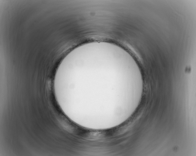 X0000102370117200808011033