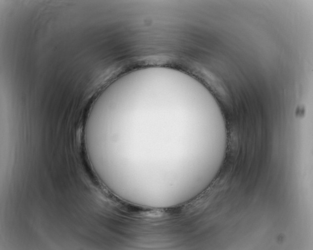 X0000102370118200808011033